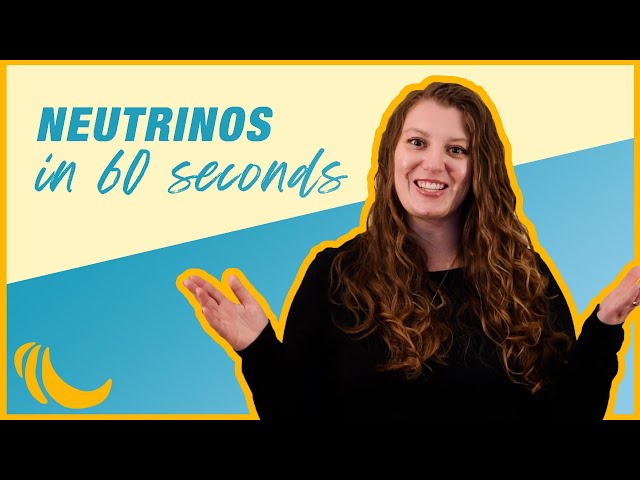 Neutrinos in 60 seconds | Even Bananas 02