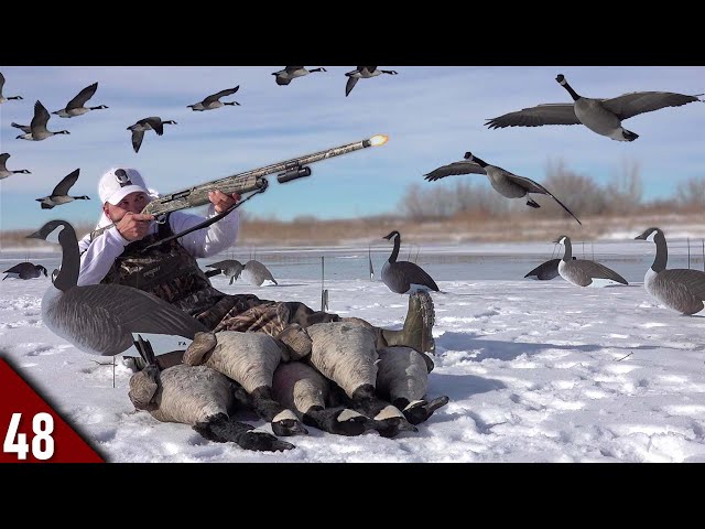 EPIC Solo Goose Hunt on ICE! (Limited Out) | Goose Hunting 2022