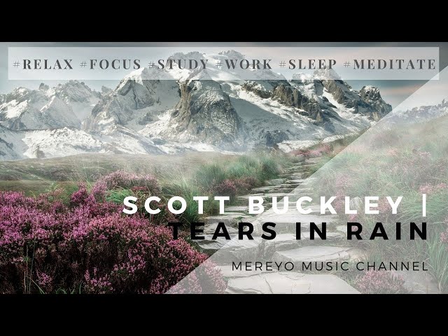 Scott Buckley | Tears In Rain ( Mereyo extended remix)