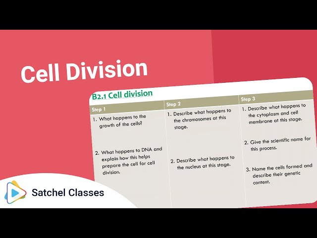 Cell Division | Biology | Satchel Classes
