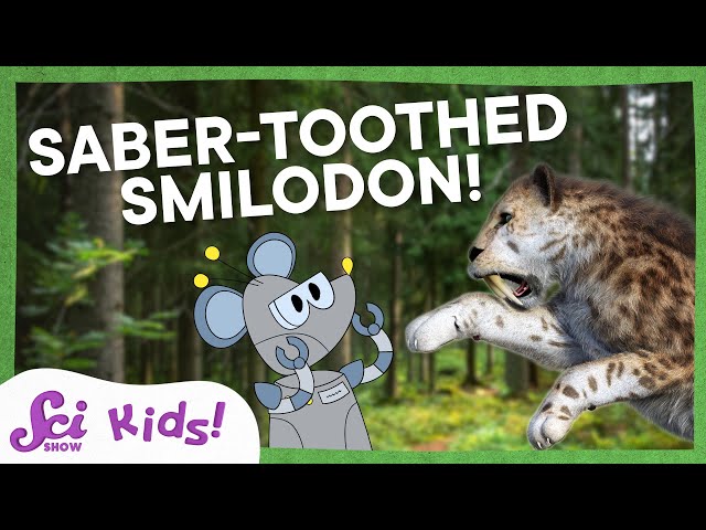 Say Hello to Saber-toothed Smilodon! | SciShow Kids