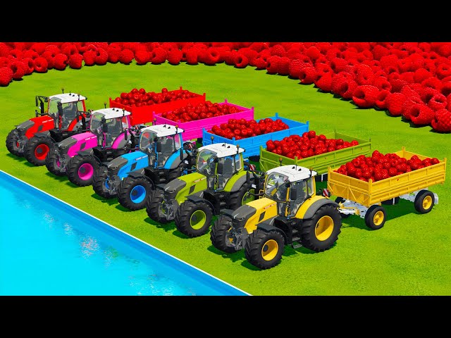 LOAD AND TRANSPORT RASPBERRYS WITH JCB & FENDT TRACTORS - Farming Simulator 22
