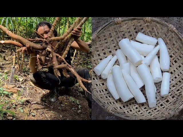 Full video 04 years of survival thanks to this food crop, Survival instinct, Wilderness Alone