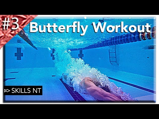 Butterfly swimming workout #3. Beginner fly technique