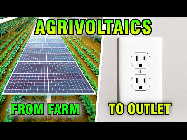 Everything You Need to Know About Agrivoltaics | Disruptive Investing News