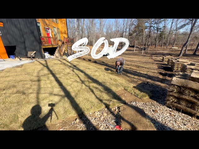 Cabin Build Ep 91: 4000 sq ft of SOD