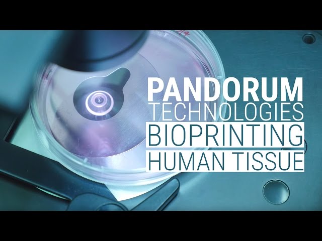 Pandorum Technologies bioprinting human tissue