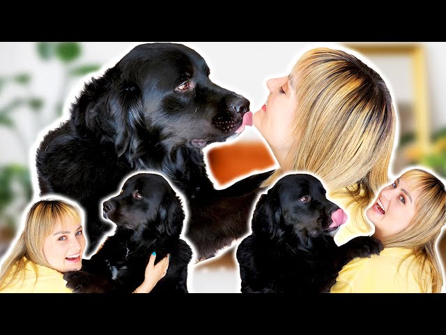 Get To Know My New Guide Dog! (Q&A about Elton John)