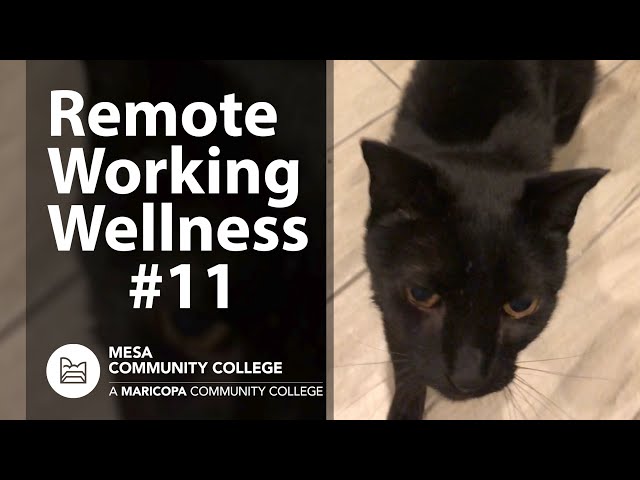 Remote Working Wellness 11