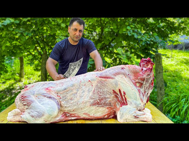 Butchering a WHOLE BULL for a Super Recipe! The National Main Holiday Of The Year