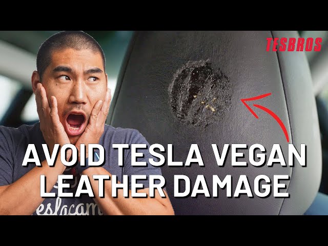 Ceramic Coating Tesla Vegan Leather Seats With Gyeon Leather Shield - TESBROS