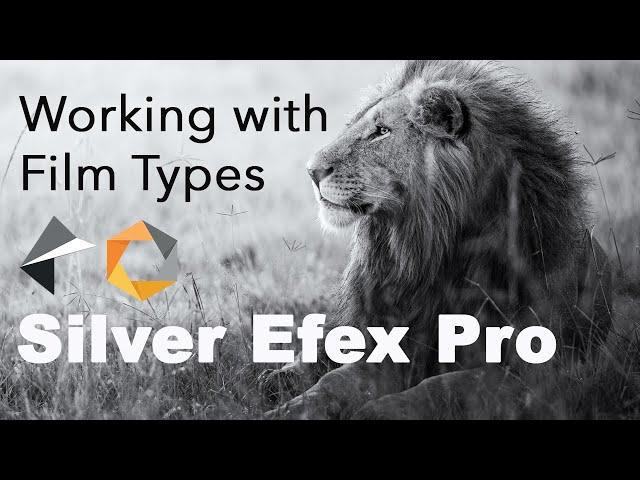 NIK SILVER EFEX PRO: Working with Film Types