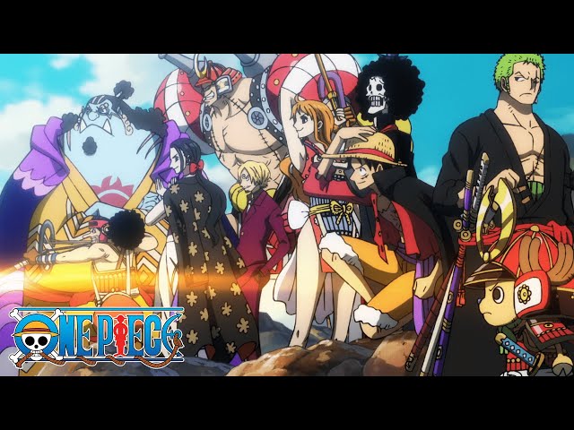 New Bounties 💰 | One Piece