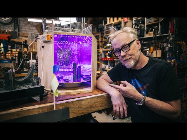 Adam Savage's One Day Builds: 3D Print UV Curing Oven!
