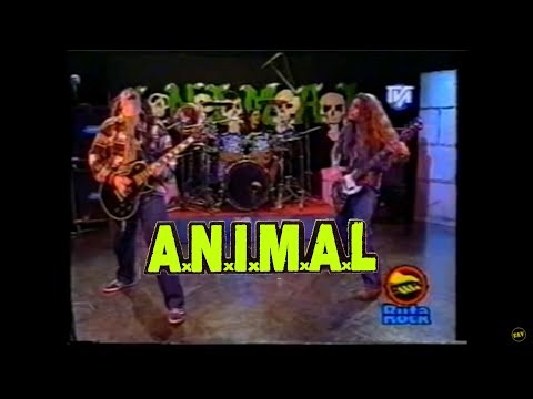A.N.I.M.A.L. en Ruta Rock 1994 (completo) en vivo ANIMAL