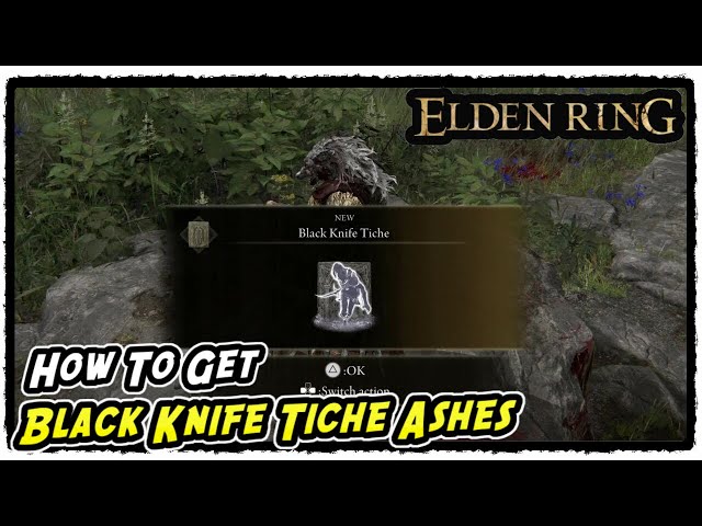How to Get Black Knife Tiche Ashes in Elden Ring Black Knife Tiche Ashes Location (Best Ashes)