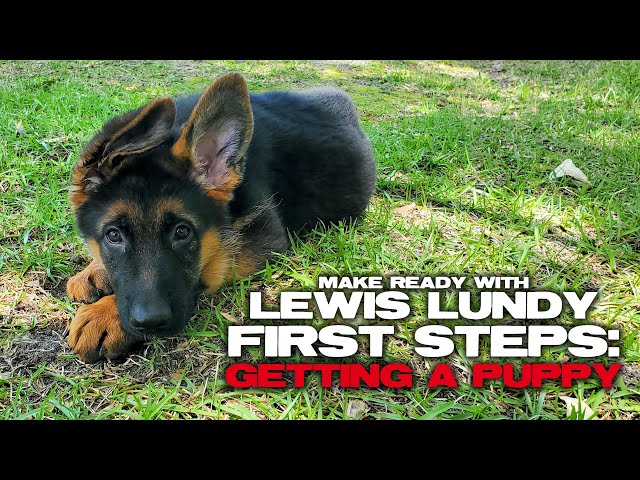 Make Ready with Lewis Lundy: First Steps: Getting a Puppy [trailer]