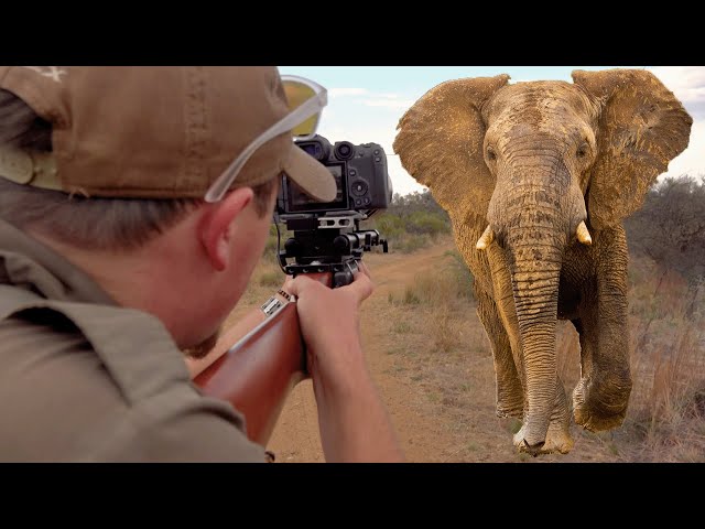 Photo Hunting Elephant | The Big 5 Photo Hunting Series - EP 01
