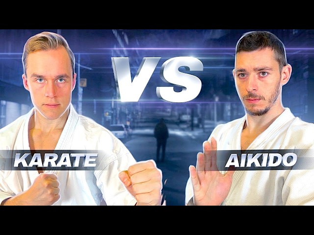AIKIDO VS. KARATE in STREET FIGHT