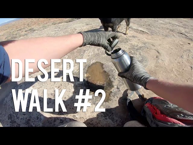 Desert Walk #2
