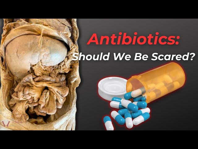 Why Antibiotics Don't Work Like They Used To