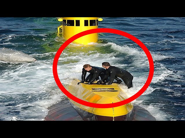 Strange North Korean Underwater Weapon Spotted at American Coasts?