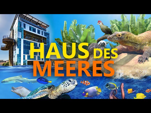 Haus des Meeres (Wien) - Ein ganz besonderes Aquarium | Zoo-Eindruck