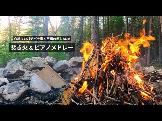 Crackling fire in the forest and 10 beautiful piano BGM for sleeping and relaxing | ASMR
