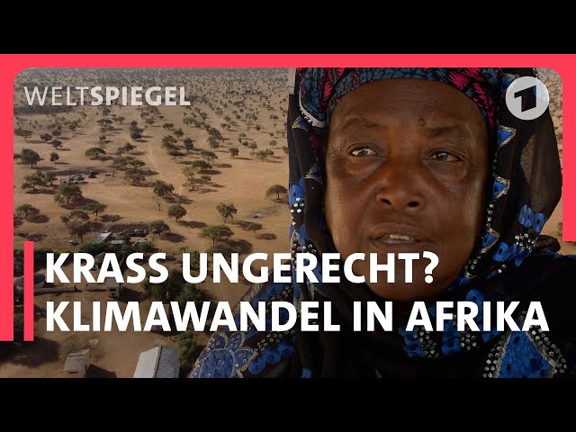 Senegal: Klimakatastrophe schlägt unerbittlich zu | Weltspiegel