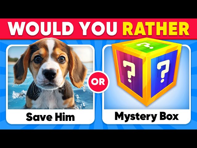 Would You Rather...? Mystery Box Edition 🎁❓ Quiz Shiba