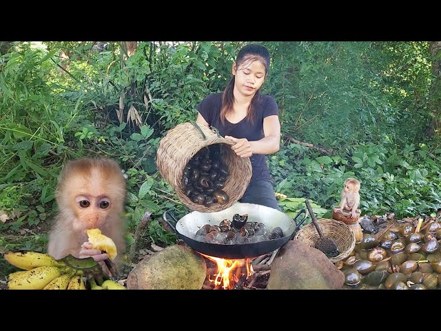 So Cute Baby Monkey! Catching River Snails & Cooking for jungle Yummy Food @PrimitiveSurvivalSkillss