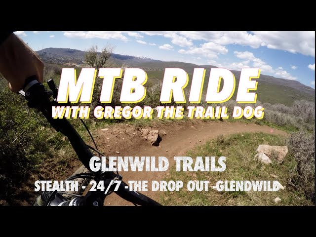 Glenwild MTB Ride | Gregor the Trail Dog