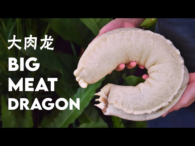 Meat Dragon (the lazy person's bao)