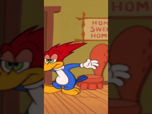 Woody has an uninvited guest in his house | Woody Woodpecker #shorts