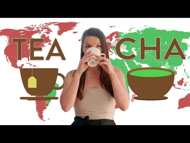 Do you say "tea" or "chai"?