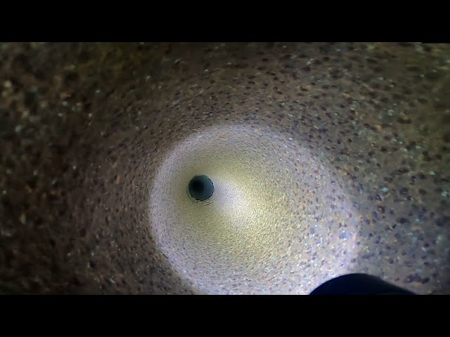 Dropping Go Pro Down A Deep Mystery Pipe