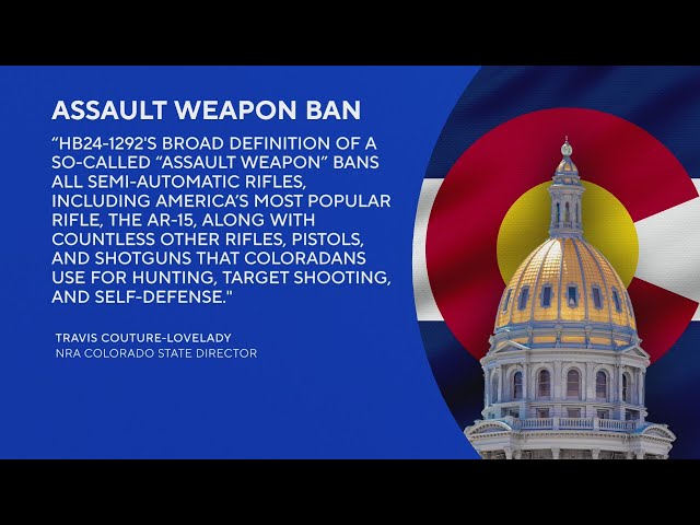 House Democrats pass bill that bans sale, transfer and purchase of assault weapons
