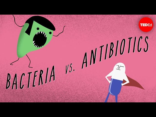 What causes antibiotic resistance? - Kevin Wu