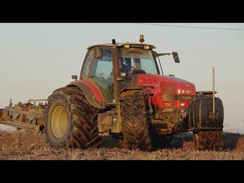 Lavori agricoli 2018