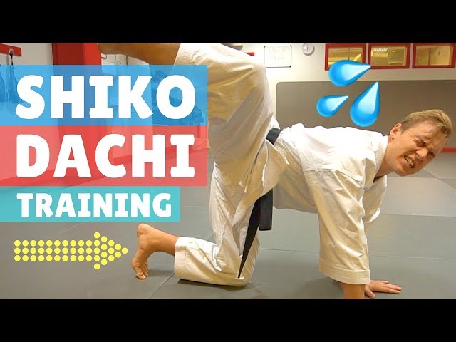 4 KARATE EXERCISES FOR SHIKO DACHI TRAINING — Jesse Enkamp