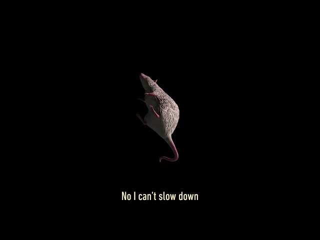 AllttA - Can't Slow Down (from new Album "Curio")