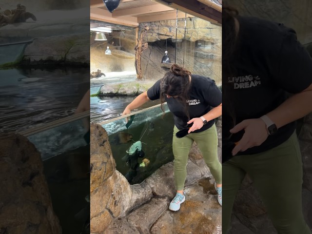 This is what its like cleaning a Zoo😅
