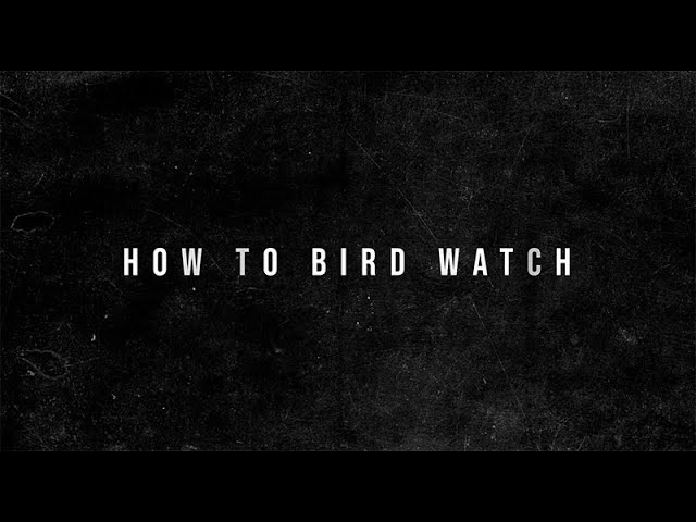 The Offspring - How-To Bird Watch
