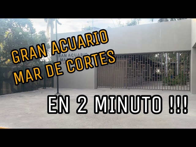 GRAN ACUARIO MAR DE CORTES - En 2 minutos