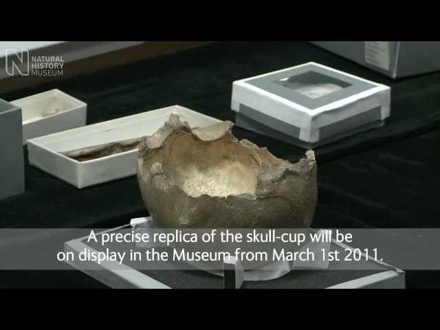 Earliest human skull cups made in the UK | Natural History Museum