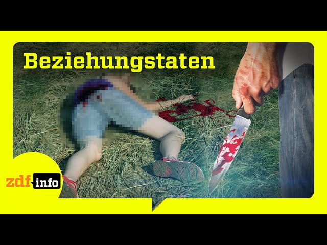 Im Garten erstochen! Mordermittler lösen Beziehungsfälle (True Crime) I ZDFinfo Doku
