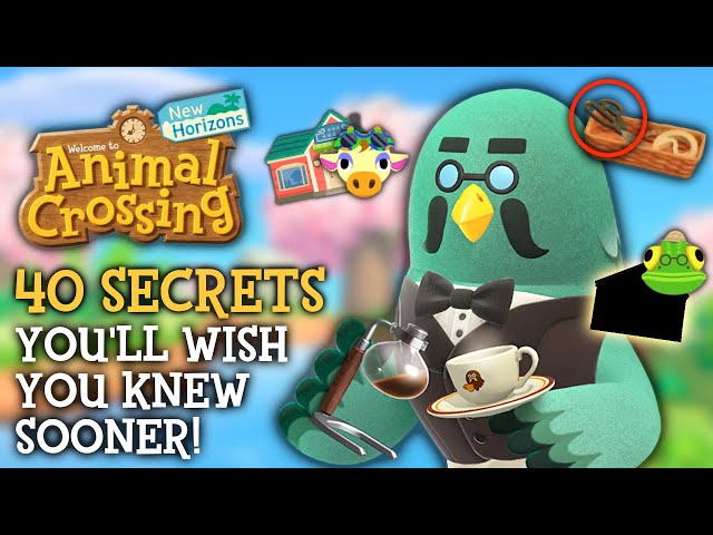 40 SECRETS You'll WISH You Knew Sooner - Animal Crossing New Horizons