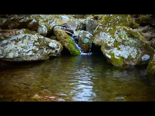 Water Stream Ambience, Soft & Soothing Flowing Water