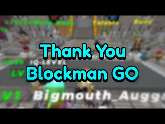 Thank You Blockman GO... 😀