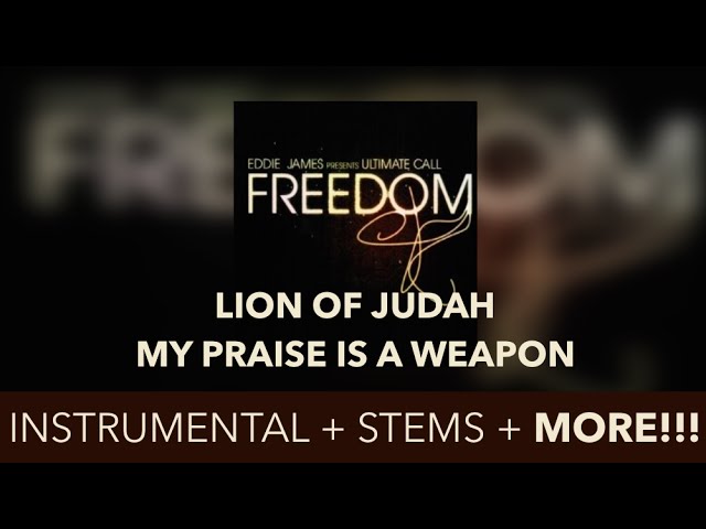 LION OF JUDAH (EDDIE JAMES) - INSTRUMENTAL